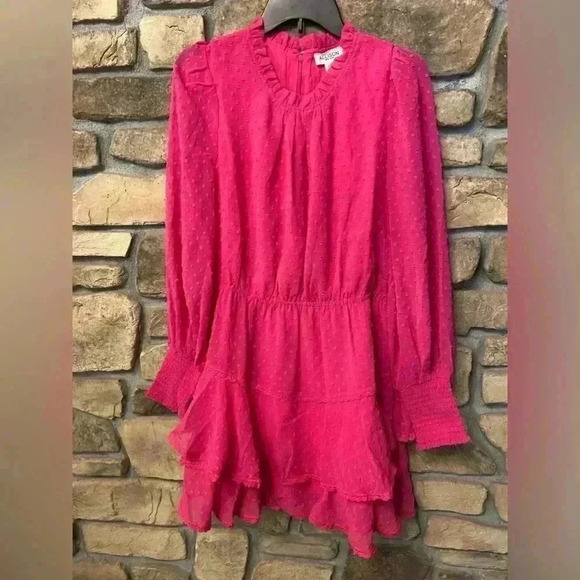 Allison Women's Mini Dress Hot Pink Swiss dot long sleeve ruffles sheer large - Picture 1 of 16